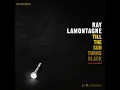 Barfly - Ray LaMontagne