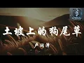 卢润泽 - 土坡上的狗尾草 【土坡上狗尾巴草摇啊 摇得人眼泪掉】动态歌词