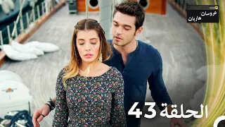 عروسات هاربات الحلقة 43 الدبلجة العربية 