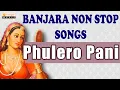 Download Lagu Banjara Rajestanero Raja   Banjara Evergreen Folk Songs   Phulero Pani   Banjara Folk Songs