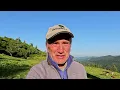 A Day in the Life of a Carpathian Shepherd: No Filter. Marmarosy. Carpathians. Documentary Film