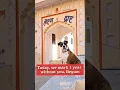 Download Lagu Pet Ke Khone Ka Dukh Bachche Ke Khone Jitna Hi Hota Hai | First Death Anniversary Of My Boxer Dog