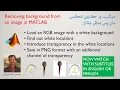 Removing background from an image in MATLAB