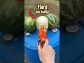 How Deadly Are Flare Guns TEST Results