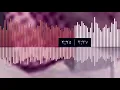 تحبني ولا تناسيت - عباس ابراهيم
