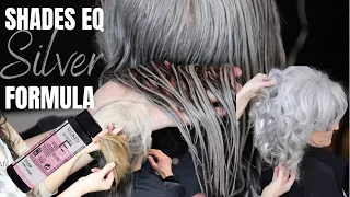 Gray blending hair tutorial silver shades eq formula