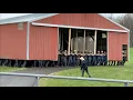 Download Lagu Amish Shed Move