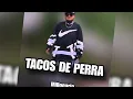 Millonario - Tacos De Perra (Letra) [Tiradera a C Kan]