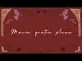 Ave Maria | Lyric Video | Sarah Kroger