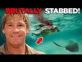The TERRIFYING Last Moments of Steve Irwin The Crocodile Hunter