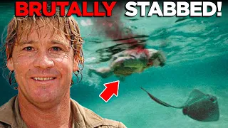 the terrifying last moments of steve irwin the crocodile hunter