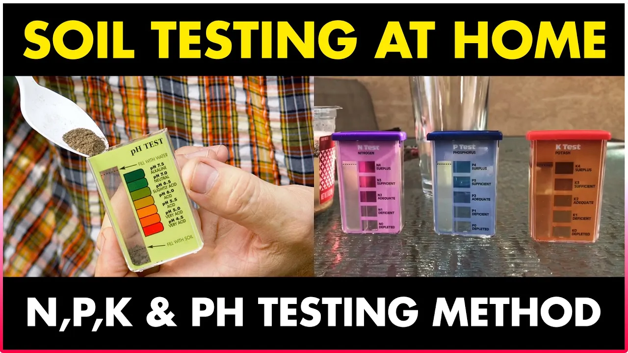 SOIL TESTING FOR AGRICULTURE AT HOME | How to do Soil test for Farming at Home
