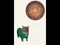Download Lagu Squid game mingle song cat