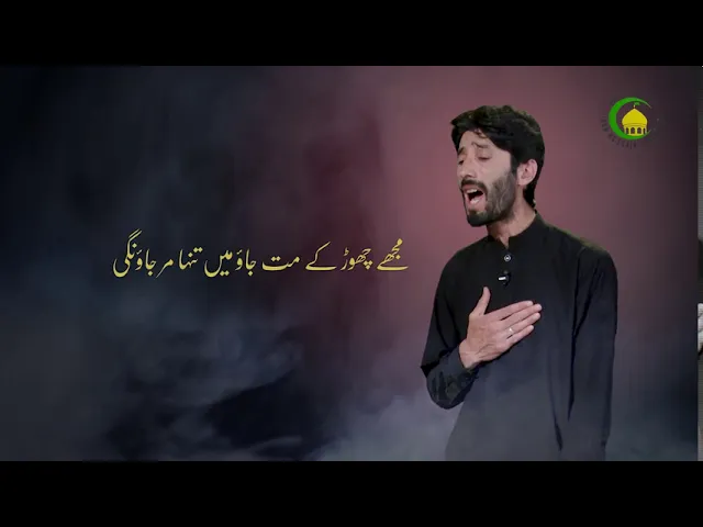 ⁣نوحہ علی اکبر کو الوداع فدا علی بلتستانی