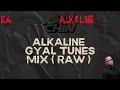 ALKALINE HITS GYAL TUNES MIX (RAW) | DJ LEVI CHIN