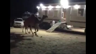 السلام عليكم انا بطلع برا اليوت وبصفي الكل اتمنى طاريي لاينذكر لابخير ولا بشر الله يستر على الجميع   دندنها