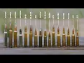 How to Choose a Hunting Guide to Ballistics and Ammo