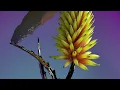 Flume - Say It feat. Tove Lo