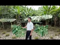 Download Lagu I started rebuilding my life from scratch, fix up the house, find food and start making money
