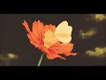 Download Lagu j^p^n - bloom [] - Second part only Extended