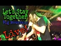 Download Lagu Let's Stay Together - Big Mountain - Live in Forest Camp Philippines