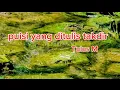 Download Lagu Puìsi yang ditulis takdir