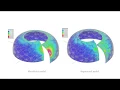 Learning from nature the echinoid strategy to design a lightweight and resistant shell structure