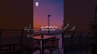 انتي اجمل ست في العالم عموما 