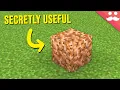 68 Minecraft Blocks with secret features
