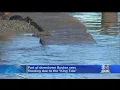 King Tide Causes Minor Flooding In Downtown Boston