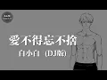 白小白 - 愛不得忘不捨(DJ版)「畢竟深愛過」動態歌詞版