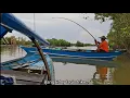 Download Lagu Hari pertama diterpa hujan,Alhamdulillah..masih banyak sambaran ikan