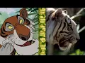 Download Lagu The Jungle Book - DisneyPedia: Junglemania!