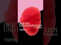 Download Lagu Beethovens Tripelconcert en Schuberts Der Tod und das Mädchen - za 18 okt @ Concertgebouw, Amsterdam