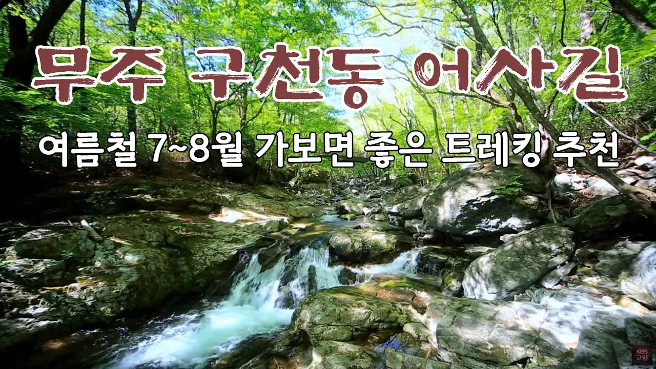 관련 영상 썸네일