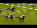 中央競馬　「ファンファーレ」 “Fanfare” Japan Racing Association　ザ・ロイヤルファミリー　主題歌 Theme of The Royal Family