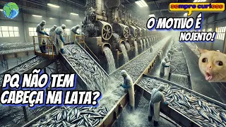 SARDINHA ENLATADA: O processo de FABRICAÇÃO do PEIXE MAIS Vendido do MUNDO!
