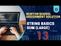 Newton school Assignment Sum Large String interview question in java Java top String question