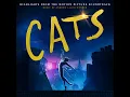 Memory (From The Motion Picture Soundtrack "Cats")