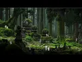 Princess Mononoke - Kodama Forest Night