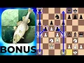 Download Lagu Stockfish Smashes Leela's Slav Defense