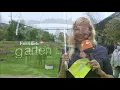 Nik Kershaw  -  The Riddle @ZDF Fernsehgarten 26.09.2021