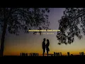 Download Lagu Aku Ingin Cinta Yang Nyata (Betharia Sonata) Cover Ferdi jehadan