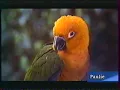 Download Lagu Début de VHS Le Petit Dinosaure 6 : La Légende du Mont Saurus (1998)