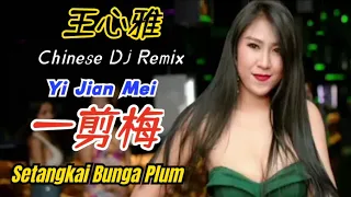  dj remix yi jian mei setangkai bunga plum a spray plum blossoms terjemahan indonesia