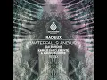 Waterfalls and Us (Kamilo Sanclemente, Mauro Aguirre Remix)