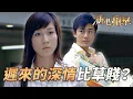 Download Lagu 遲來的深情比草賤？程亮狠撇小三求復合，細鮑二話不說出錢撐走人！｜溏心風暴｜陳豪｜林峯｜鍾嘉欣｜李司棋｜夏雨｜港劇精華｜TVB 劇集