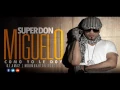 Como Yo Le Doy - Pitbull Ft. Don Miguelo (Spanglish Version) - MusicFloW.CoM