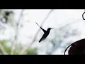 Download Lagu Surah Al-Anaam | By Sheikh Abdur-Rahman As-Sudais | 06-سورۃالانعام