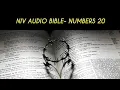 NUMBERS 20 NIV BIBLE with text